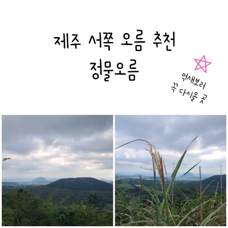 제주 서쪽 오름 추천 정물오름 - 아이들과 환상적인 뷰 후기 (정확한 주차정보, 코스 추천)