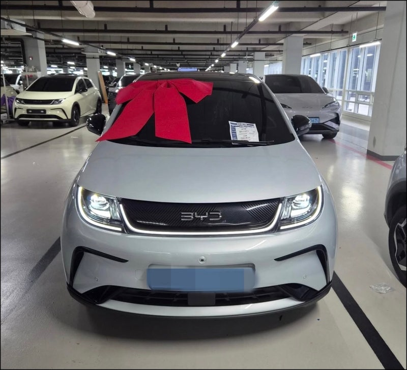 2026 BYD 돌핀 가격, 보조금 받으면 실구매가 얼마일까⁉️ 주행거리·액티브 총정리