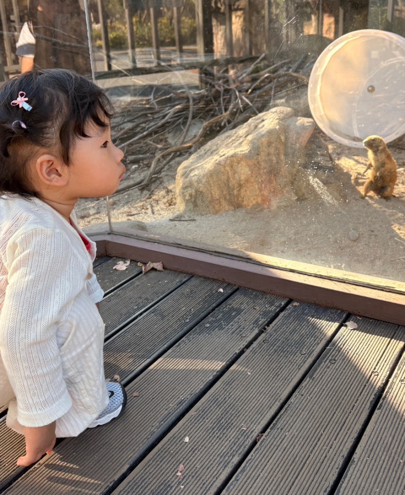 아기랑 서울대공원 동물원, 주차장만 바꿔도 편한 리프트 코스 꿀팁