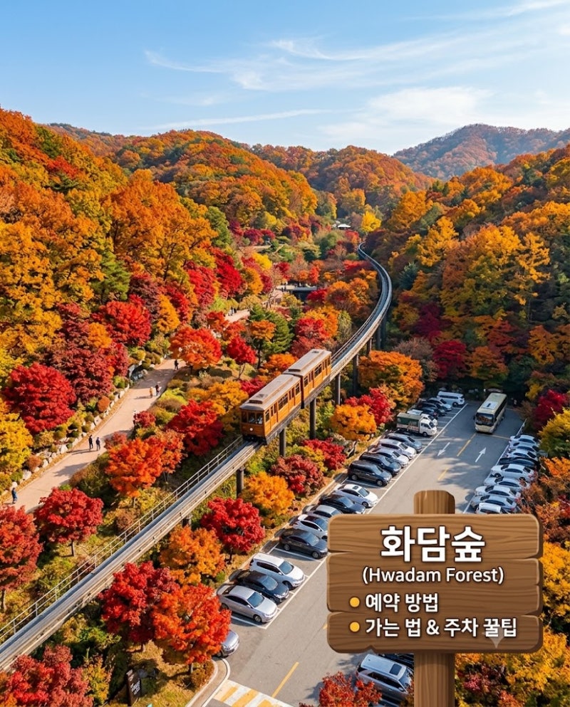 가을 단풍 명소 화담숲 예약 방법부터 주차 꿀팁까지 완벽 정리