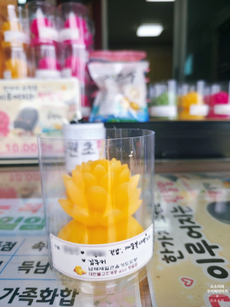 뚜벅이로 애견동반 2박3일 여수여행기, 3일차 향일암에 다녀오다.