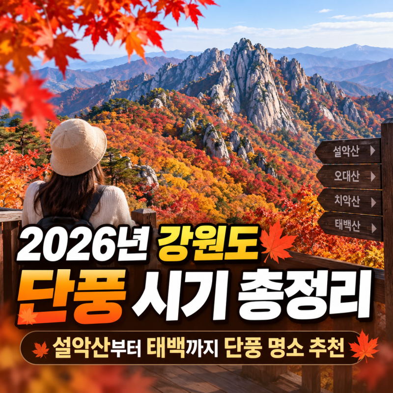 2026년 강원도 단풍 시기 총정리, 설악산부터 태백까지 단풍 명소 추천