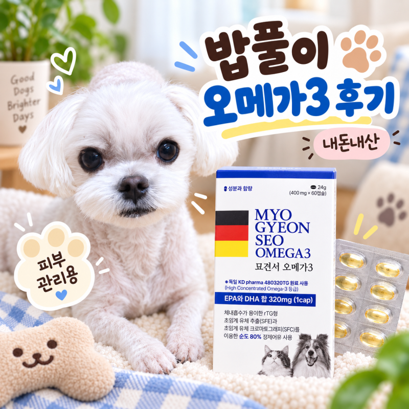 피부 알러지로 시작한 강아지 오메가3 ｜ 묘견서 오메가3 내돈내산 후기