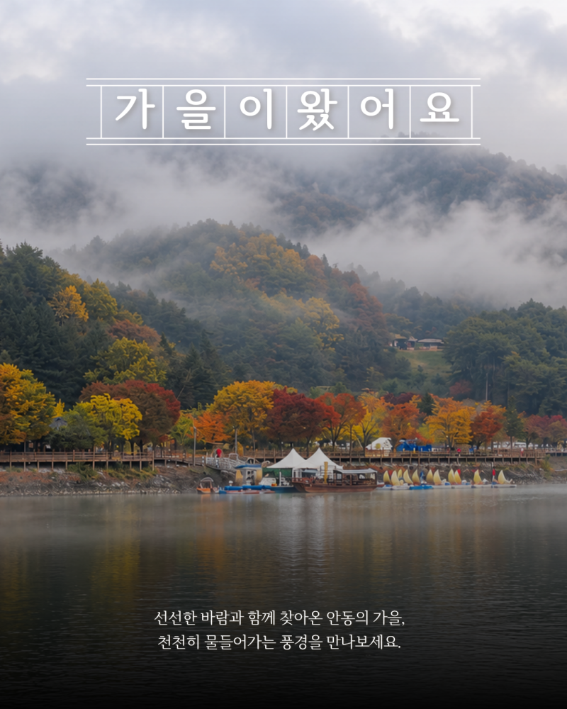 안동 가을이 왔어요 | 단풍 명소부터 월영교 문보트까지 가을여행