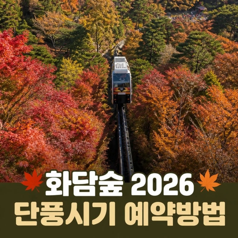 2026 화담숲 단풍 시기 및 예약 방법 총정리 (성공 꿀팁 & 모노레일 요금)