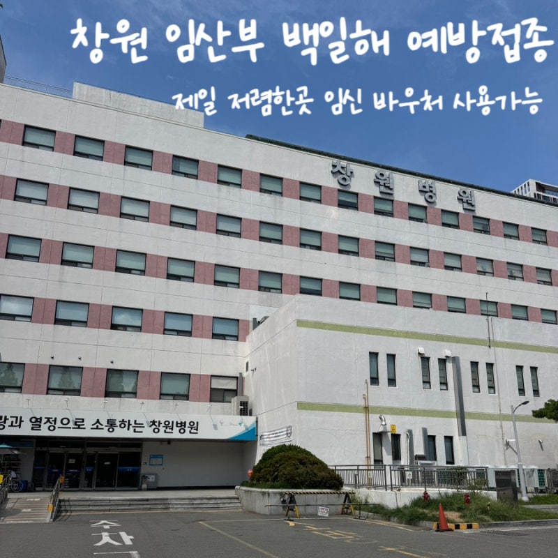 창원 백일해주사 저렴한곳 32주차 임산부 예방접종 후기｜창원병원 임신바우처사용 28,000원