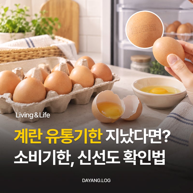 계란 유통기한 지났다고 무조건 버리지 마세요! 올바른 계란 소비기한 구별법