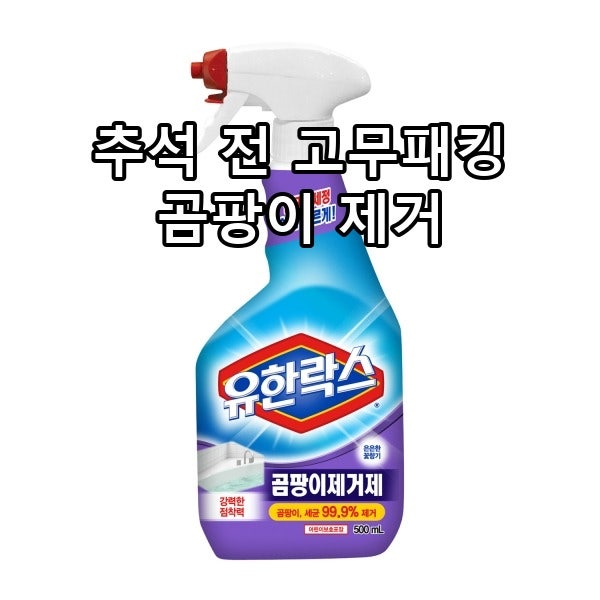 드럼세탁기 고무패킹 곰팡이, 유한락스 vs 패킹젤 제거 순서