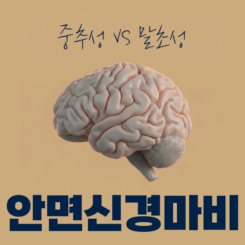 안면신경마비(벨마비)의 모든 것: 중추성·말초성 구별법부터 PNF 근거 기반 재활운동 프로토....