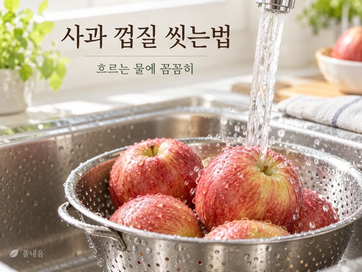 사과 씻는법, 껍질째 먹어도 될까? 왁스·농약 걱정 줄이는 세척법