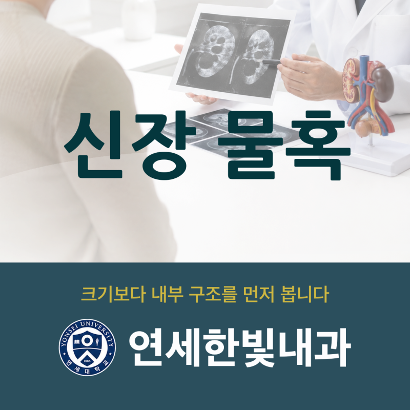 만년동 내과 신장 물혹 중 단순 낭종과 복합 낭종