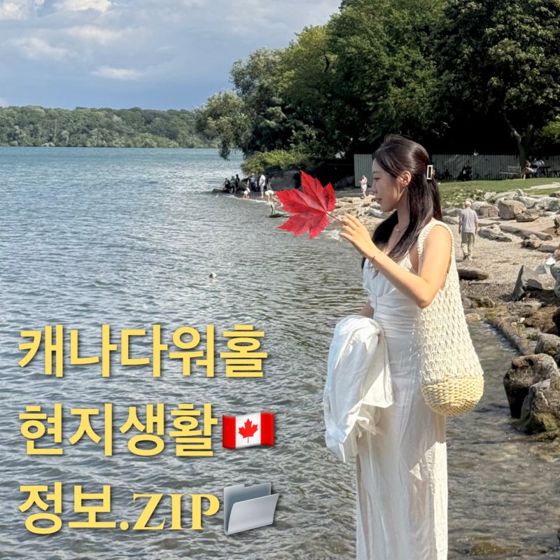 캐나다 워홀러가 가장 많이 받은 생활 질문 Q&A 총정리!