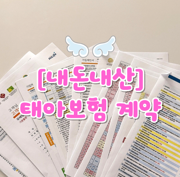 현대해상 태아보험 해지 후 재가입 이유 (청약철회 기간 / 주의점) 내돈내산 후기