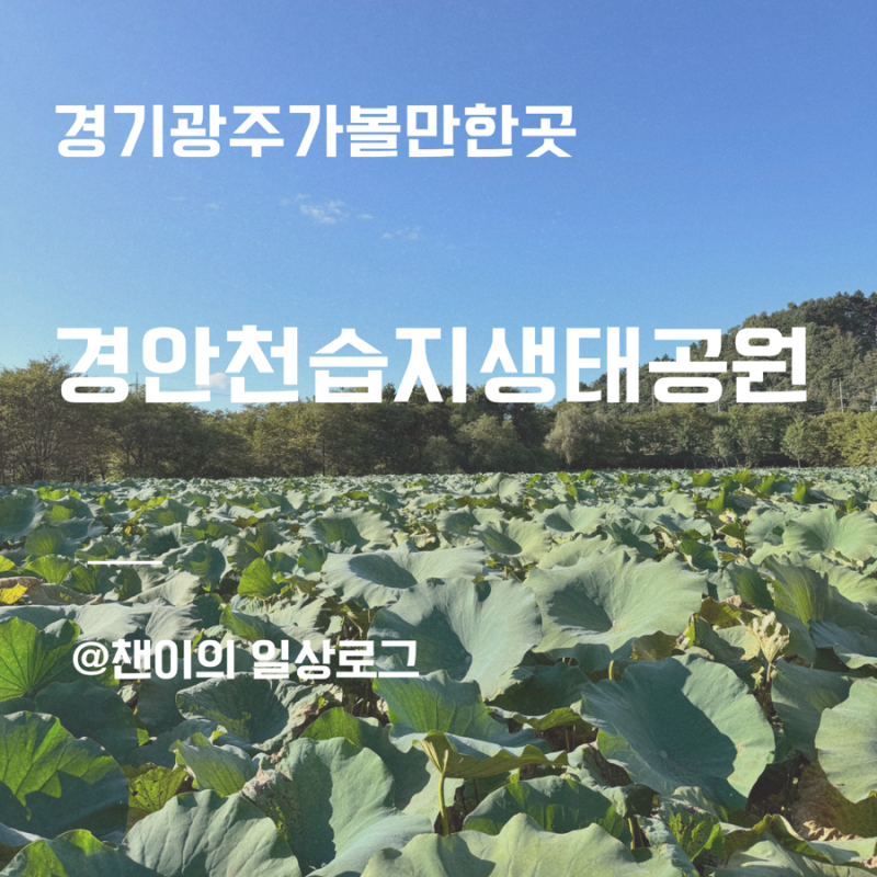 경안천습지생태공원 ㅣ경기광주 가볼만한곳 가을 산책코스