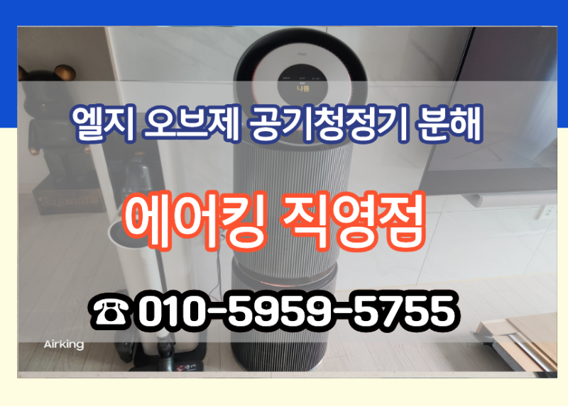 LG 오브제 공기청정기 청소 전문 내부 분해해 보니 팬 주변 먼지 천국