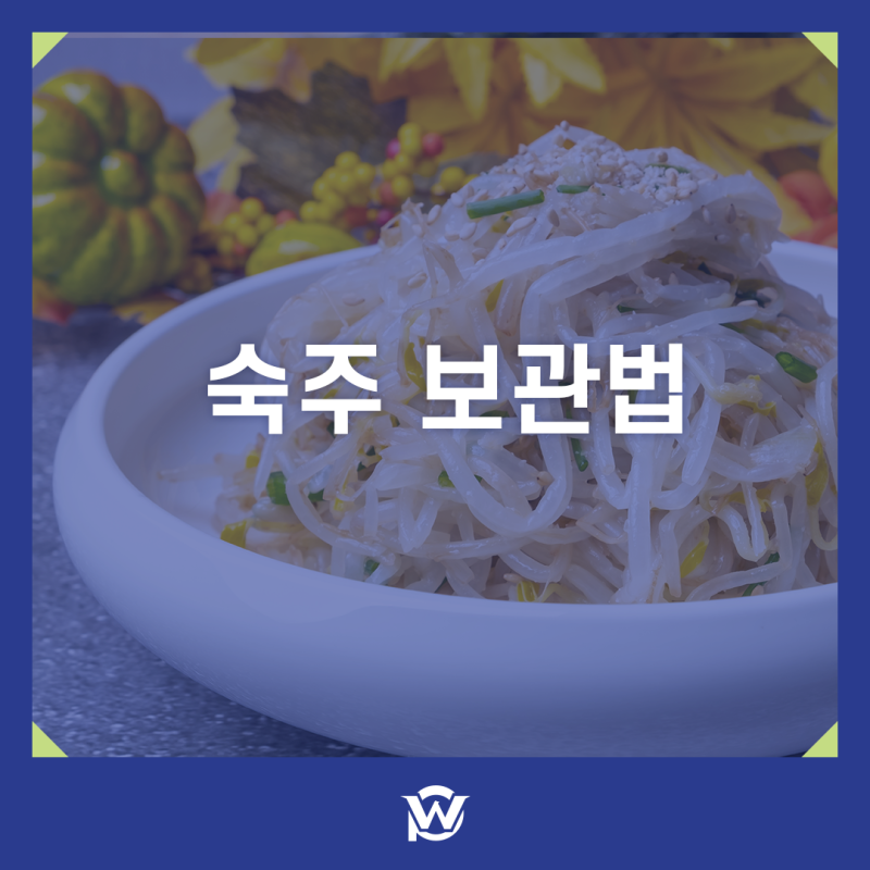 숙주 보관법, 사온 봉지 그대로 두면 될까요? 물에 담그는 법부터 상한 숙주 구별까지
