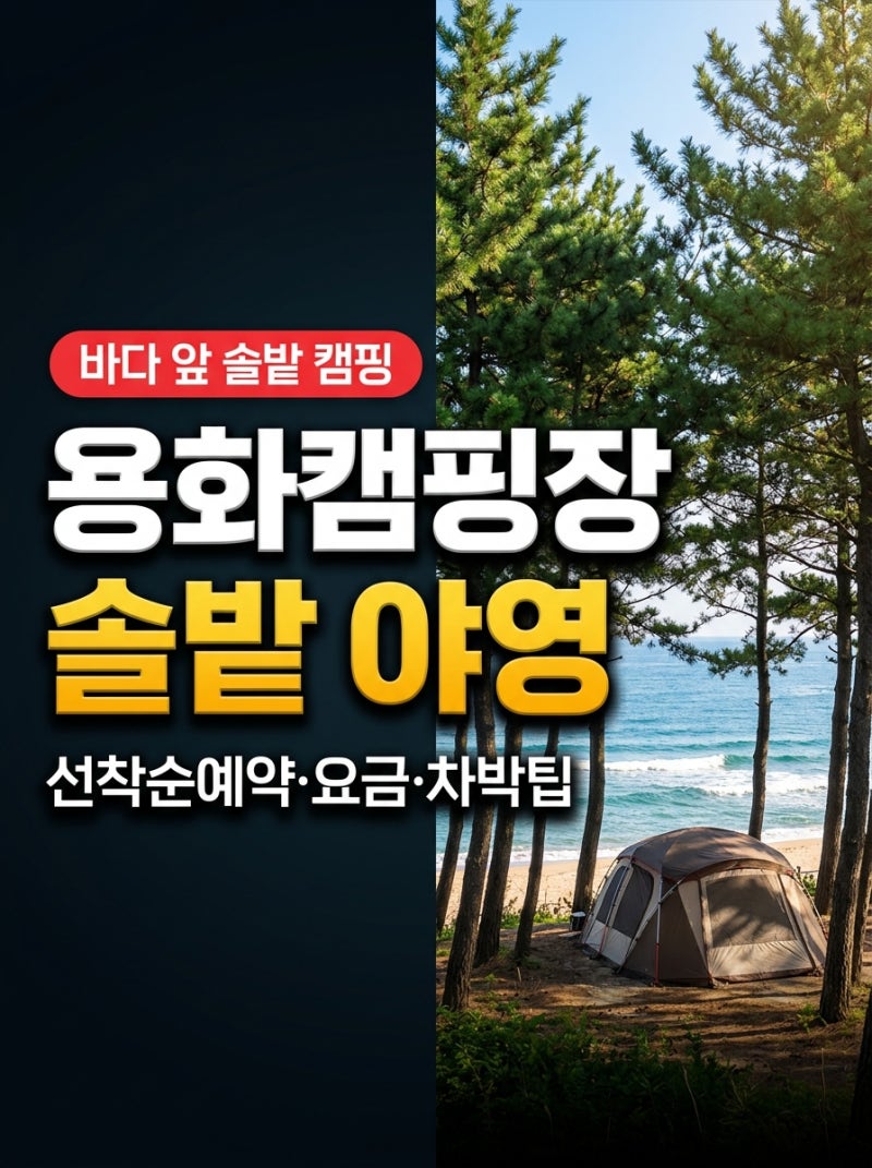 삼척 용화해수욕장 캠핑장 솔밭 야영과 차박, 요금 총정리