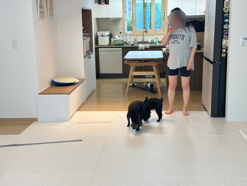 (광고X) 파크론 제로블럭 1200 층간소음 방지 매트 34평 시공 후기 색상 가격 정보 공유