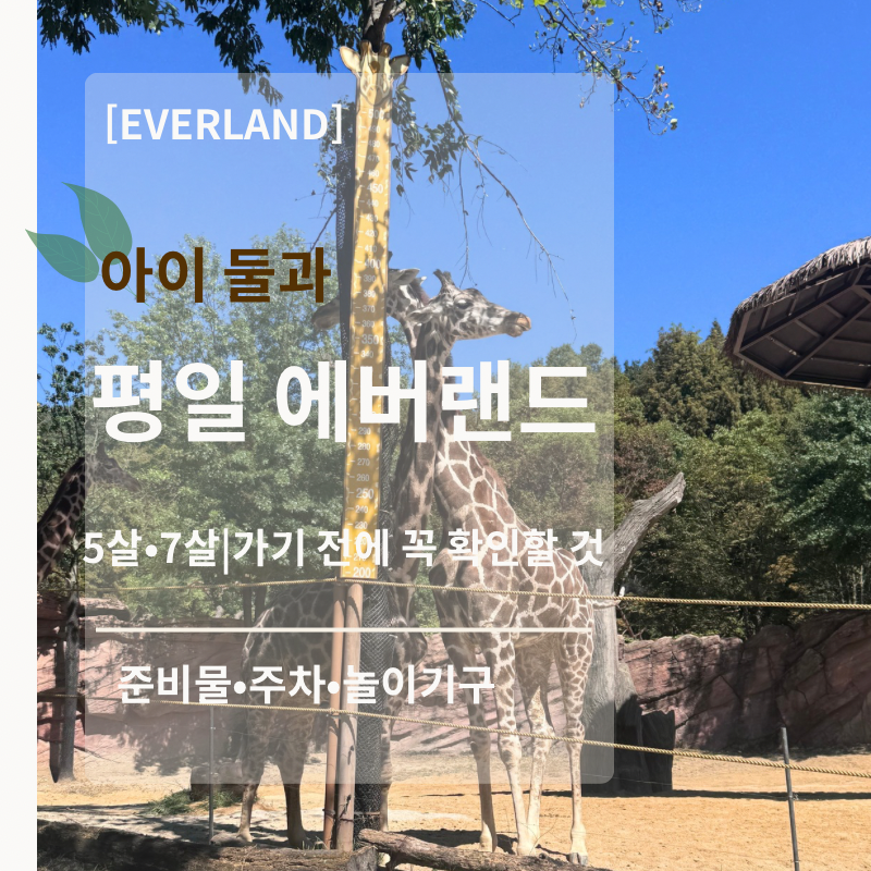 5살·7살 아이와 평일 에버랜드｜준비물·주차·놀이기구·앱 총정리①