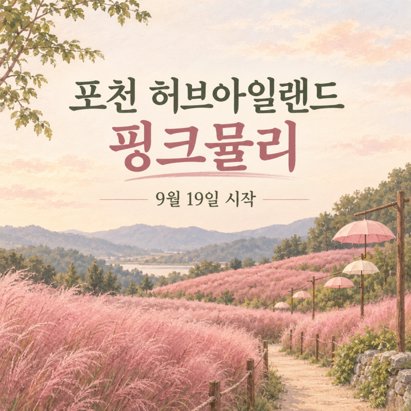 2026 포천 허브아일랜드 핑크뮬리, 개화 시기·입장료·운영시간