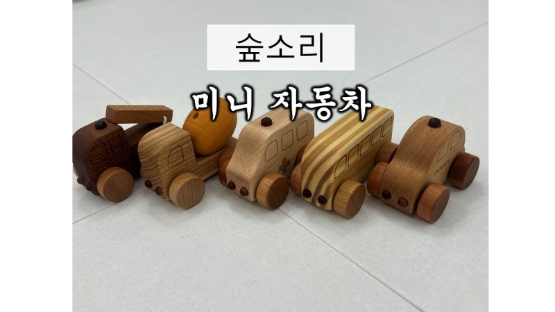 숲소리 미니 자동차 아기 장난감 원목 교구 추천 15개월 돌아기 선물