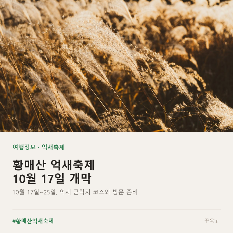 황매산 억새축제 10월 17일, 억새 군락지 코스와 방문 준비