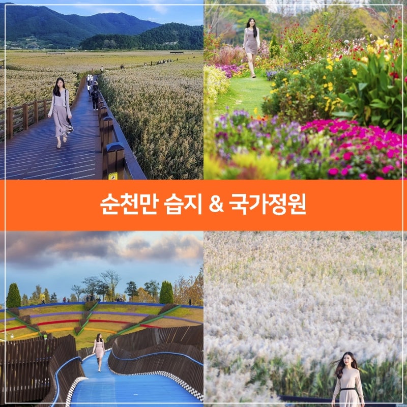 가을여행지 추천, 순천만 습지 공원 & 순천만국가정원