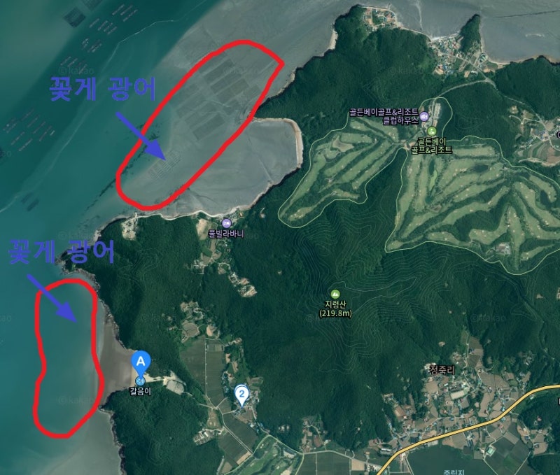 [태안 꽃게 해루질] 꽃게 안 나와도 힐링 보장? 가름이선착장·갈음이해수욕장 야간 해루질 ....