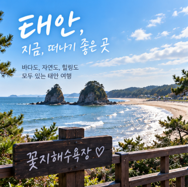여행비 절반 돌려준다고? 태안 반값여행 1차 마감…2차 신청일·환급방법 총정리