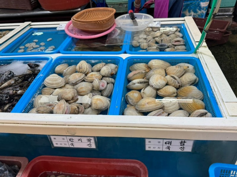 [부산 반여동] 온누리상품권 최대 2만 원 환급받는 법! 반여농수산물시장 온누리상품권 환급....