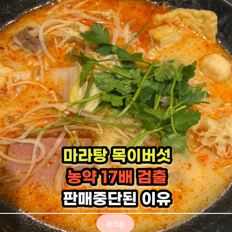 마라탕에 넣어 먹던 목이버섯, "농약 17배" 초과… 판매중단된 이유