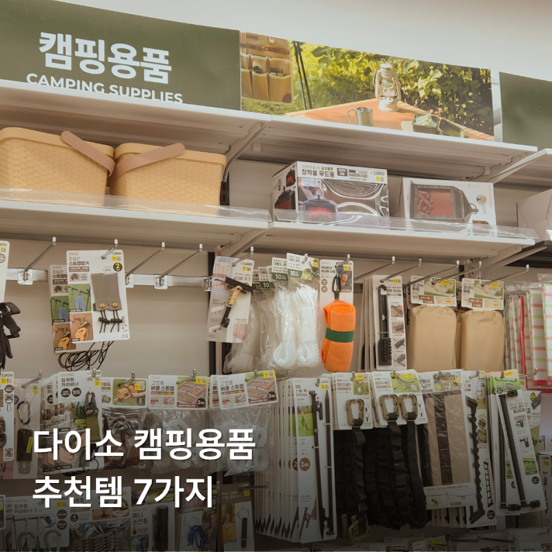 다이소 캠핑용품 추천 가성비 캠핑 준비물 7가지