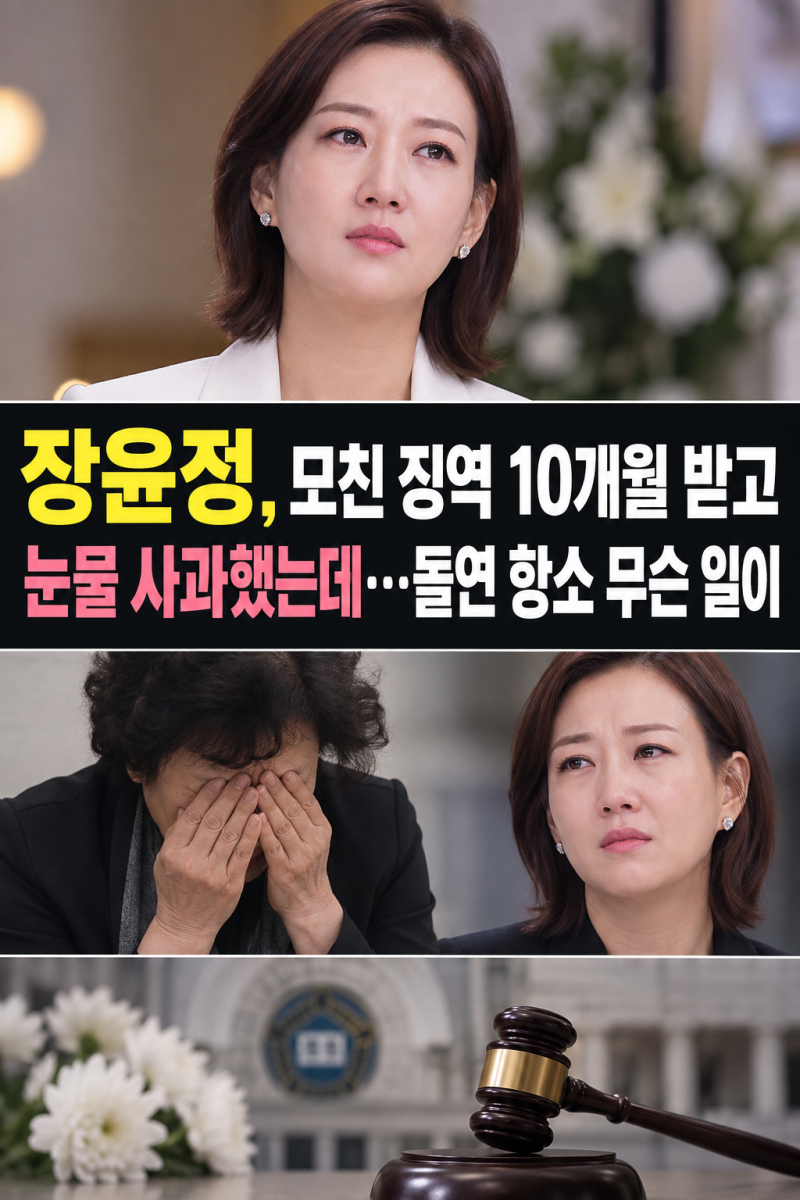 가수 장윤정, 모친 징역 10개월 받고 눈물 사과했는데…돌연 항소 무슨 일이