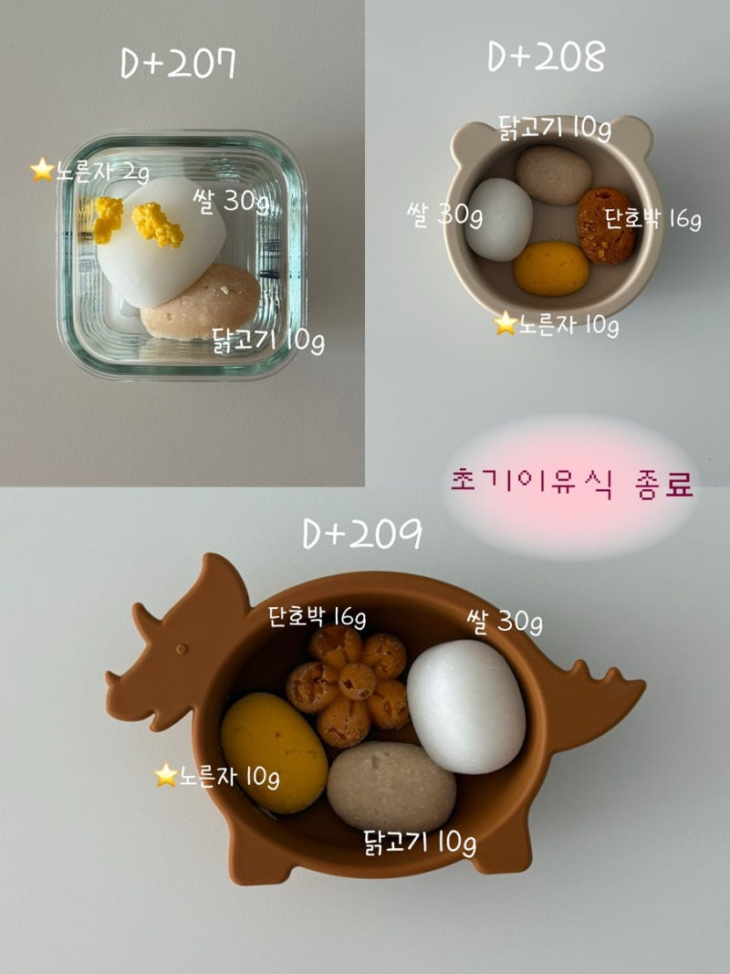 [초기 이유식]계란 노른자 큐브 만들기 / 계란 알러지 테스트 / 28-30일차