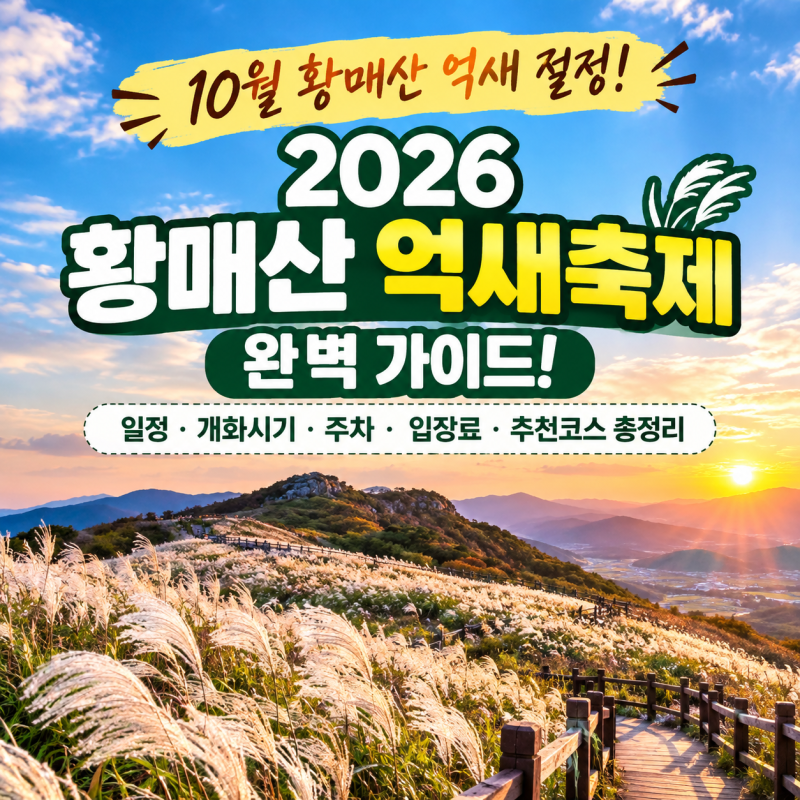 2026 황매산 억새축제 완벽 가이드! 일정·개화시기·주차·입장료·추천코스 총정리