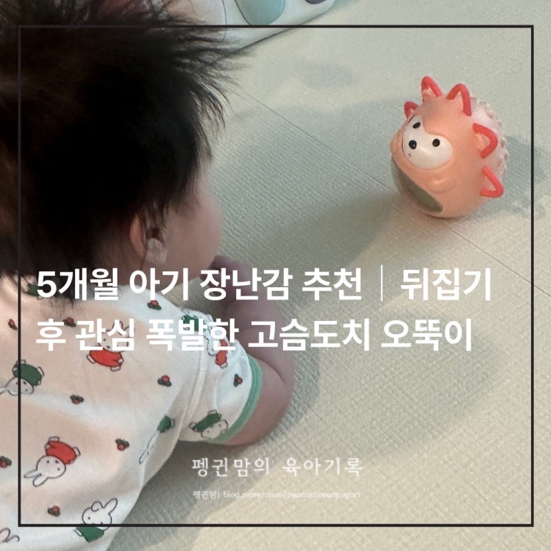 5개월 아기 장난감 추천｜뒤집기 후 관심 폭발한 고슴도치 오뚝이