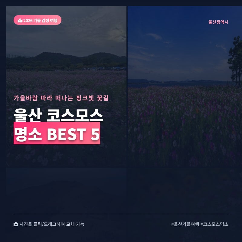 울산에서 가볼만한 코스모스 성지 명소 베스트 5 f. 가을 나들이 감성 여행지 추천