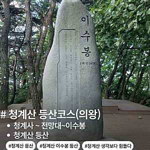 청계산 이수봉 등산코스｜청계사~절고개~전망대~이수봉~청계산 맑은숲 공원~청계사 등산후....