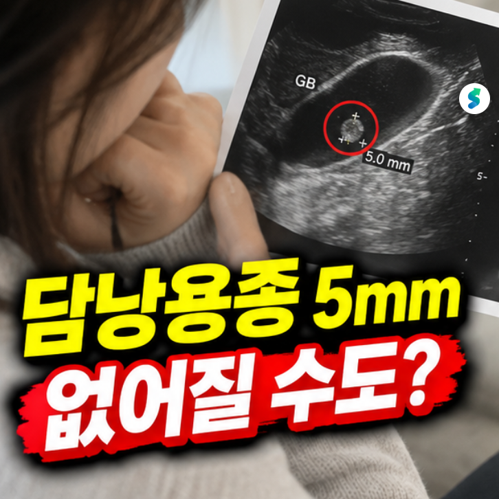 담낭용종 5mm 없어질 수도 있을까? 초음파 재검에서 크기가 달라지는 이유