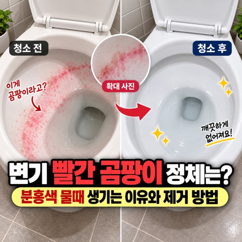 변기 빨간 곰팡이 정체는? 분홍색 물때 생기는 이유와 제거 방법