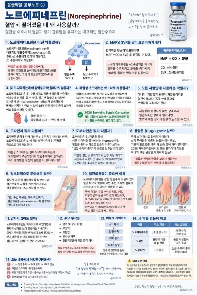 [응급약물 공부노트]⑦노르에피네프린(Norepinephrine)｜혈압이 떨어졌을 때 왜 사용할까?