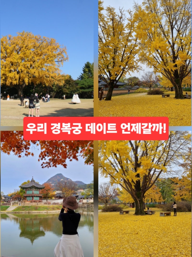 가을에 가볼만한곳 경복궁 단풍 데이트 향원정 주차장