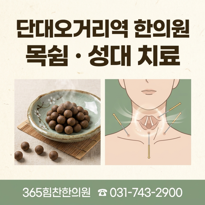 단대오거리역 한의원 목쉼 성대 침 치료 향성파적환