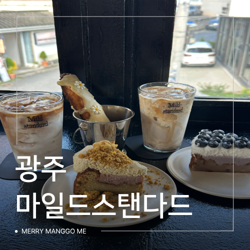 [광주 동명동 맛집] 베이커리 카페 추천 마일드스탠다드, 글루텐프리 갸또 디저트 솔직 후기