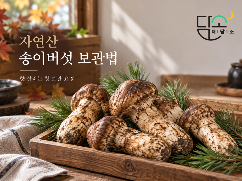 자연산 송이버섯 보관법, 씻어서 냉장해도 될까? 향 살리는 냉장·냉동 방법