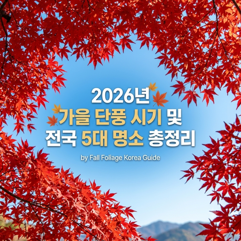 [2026년 단풍시기] 국내 5대 단풍 명소 예상 시기 방문 꿀팁까지