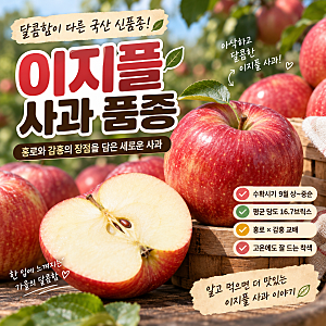 이지플 사과 품종, 홍로와 감홍을 닮은 달콤한 신품종 사과