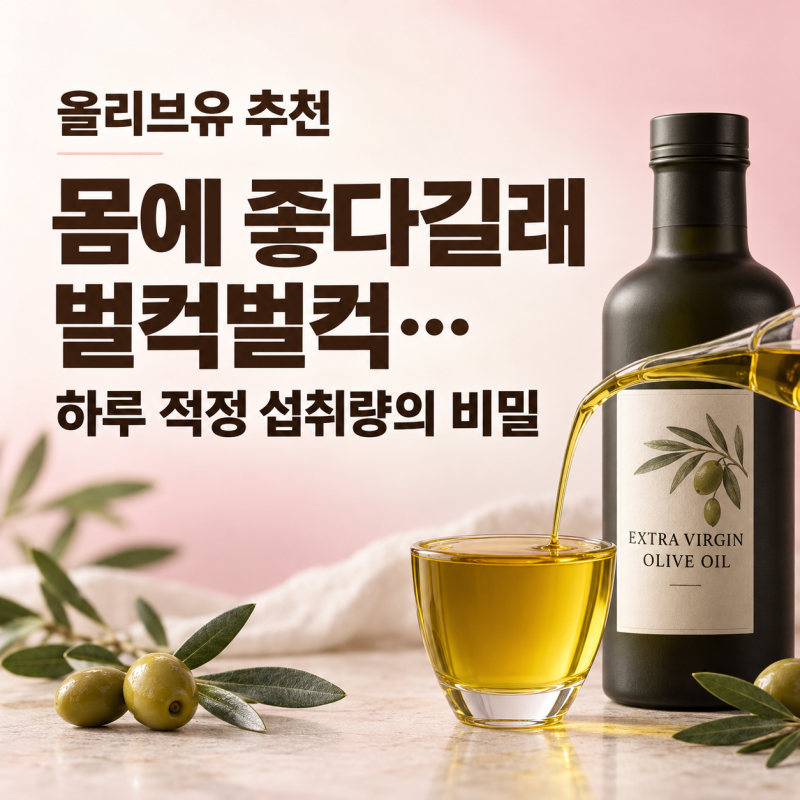 올리브유 추천, "몸에 좋다길래 벌컥벌컥..." 하루 적정 섭취량의 비밀