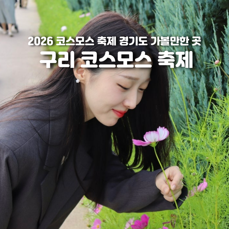 2026 구리 코스모스 축제 일정 주차 경기도 가볼만한 곳