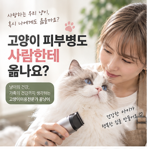 고양이 피부병 사람에게 옮나요? 전염 증상과 예방법 총정리